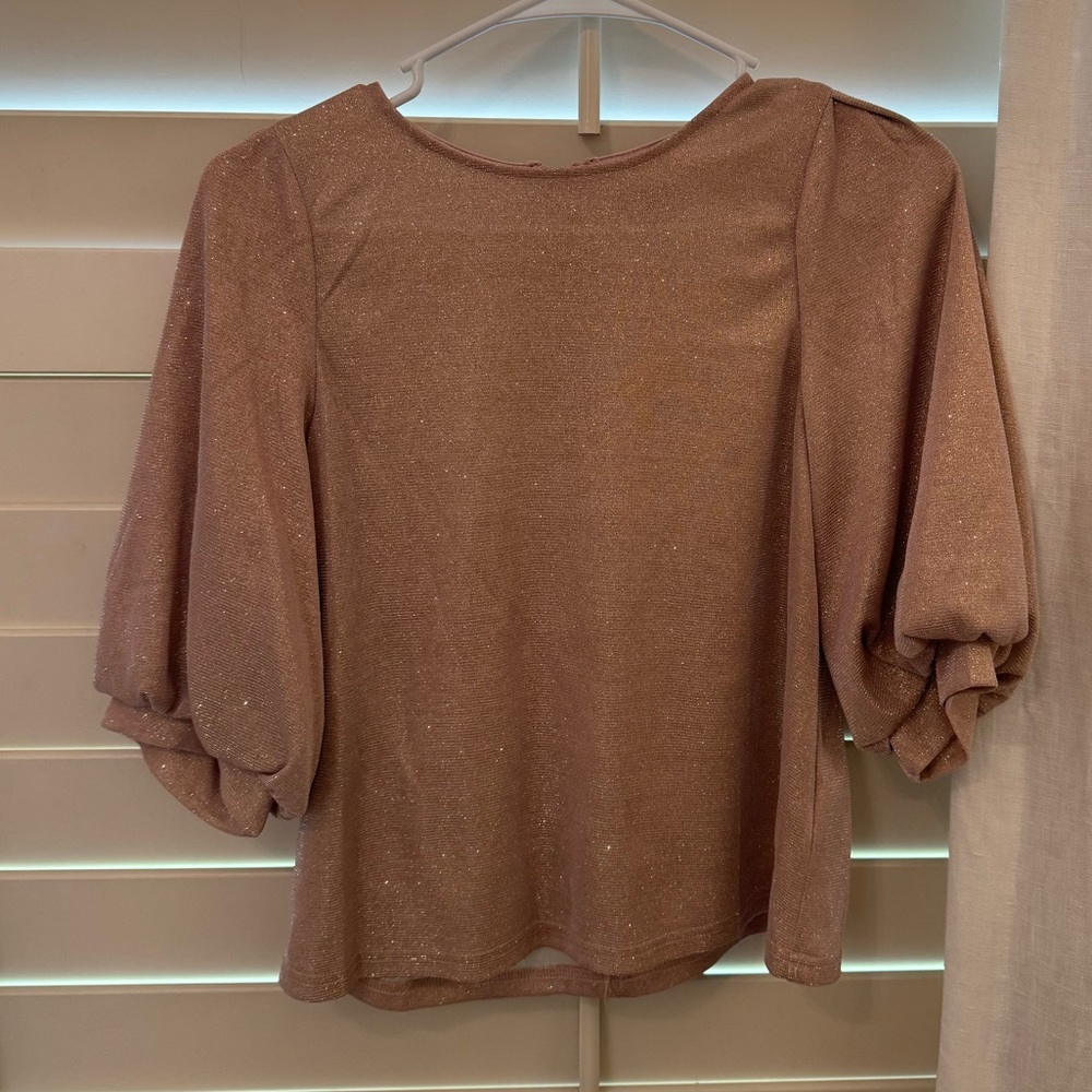 Ontwelft Pink Shimmer Blouse Puff Sleeves